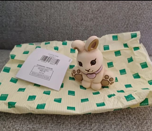 Coniglietto thun 2025