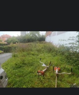 Servicios de jardinería