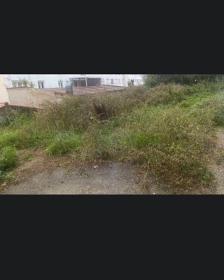 JARDINERIA EN GENERAL