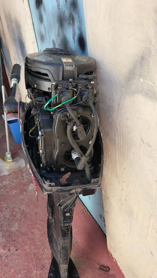 Fueraborda Mercury 25cv 
