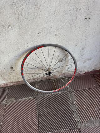 Ruota anteriore bici da corsa Ambrosio