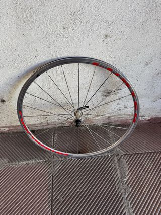 Ruota anteriore bici da corsa Ambrosio