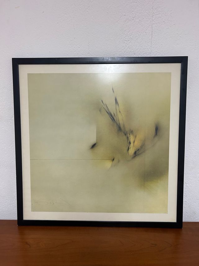 Fernando Zóbel lamina