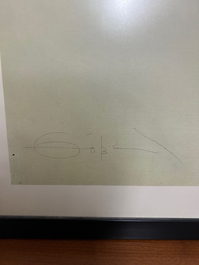 Fernando Zóbel lamina