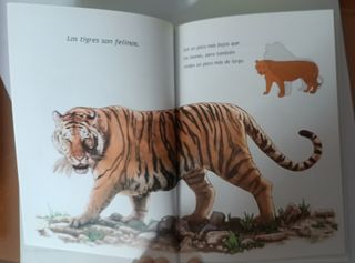 Libro El tigre