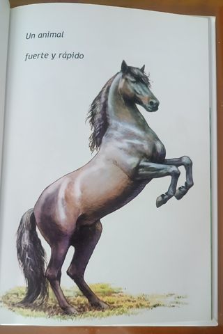 Libro El Caballo