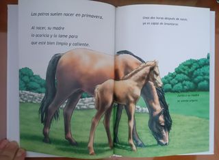 Libro El Caballo