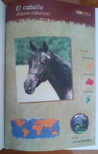 Libro El Caballo