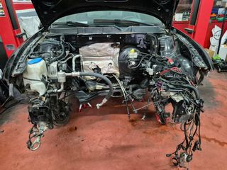 Despiece Leon Cupra R