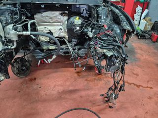 Despiece Leon Cupra R