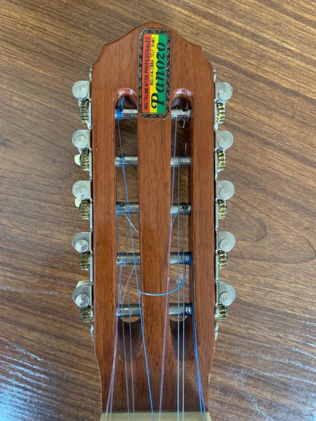 Charango panozo
