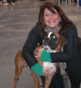 Cuidado de perros , guardería canina