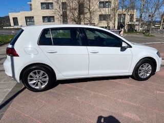 VW Golf 1.6 TDI Business 105CV 5P Bluemotion