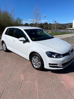 VW Golf 1.6 TDI Business 105CV 5P Bluemotion