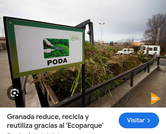 Recojida de toda clase de poda ramas troncos etc