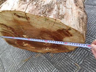 Tronco mesa rústica castaño