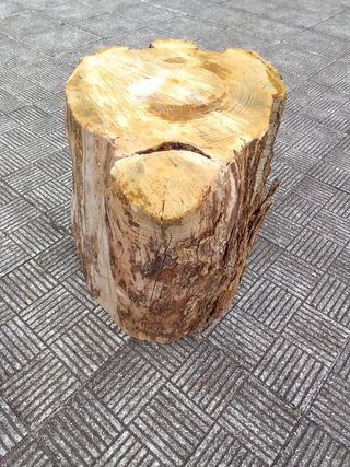 Tronco mesa rústica castaño