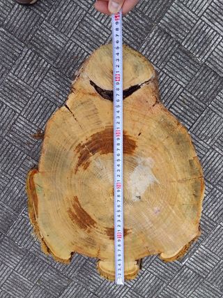 Tronco mesa rústica castaño