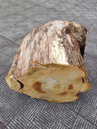 Tronco mesa rústica castaño