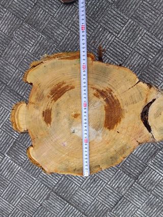 Tronco mesa rústica castaño