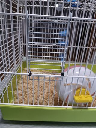 Jaula para Hamster