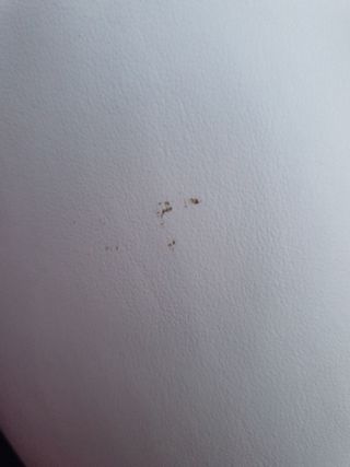 Luvas de boxe Everlast