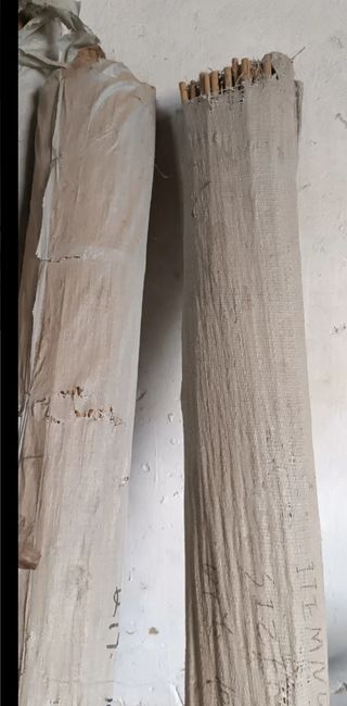 Tutores de caña 16-18 de 210cm