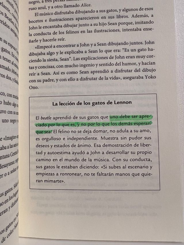 Alma de gato: 78 historias de amor e inspiración