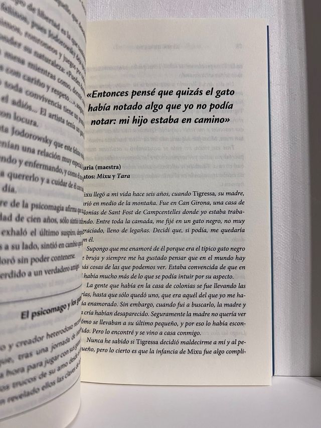 Alma de gato: 78 historias de amor e inspiración