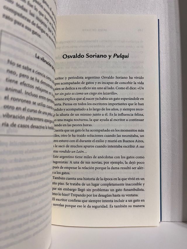 Alma de gato: 78 historias de amor e inspiración