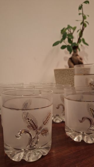 Set 6 bicchieri con decoro in ORO