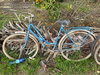 Lote de bicicletas antiguas
