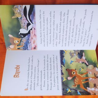 Libro infantil cuentos Disney 