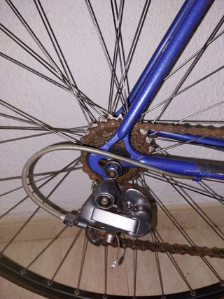 Bicicleta de carreras clasica Albero