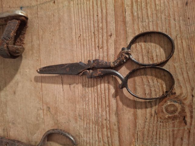 Collezione di forbici di tutti i tipi vintage