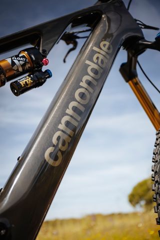 Cannondale moterra sl 1