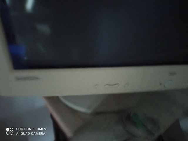 Schermo e mouse del computer