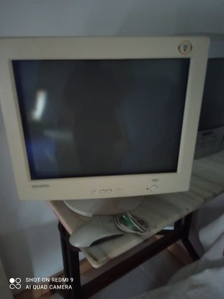 Pantalla y ratón de ordenador