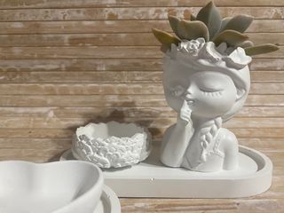 Set vasetto piantine