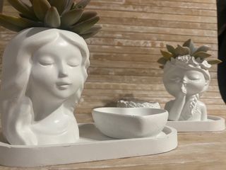 Set vasetto piantine