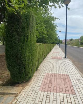 Jardinero económico