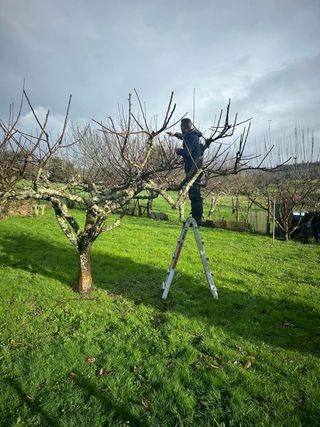 Jardinero económico