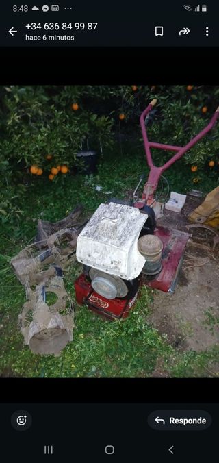 Mula mecánica diésel lombardini