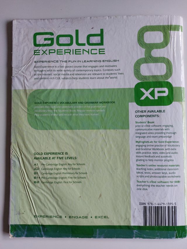 GOLD EXPERIENCE B2 WORKBOOK WITHOUT KEY
