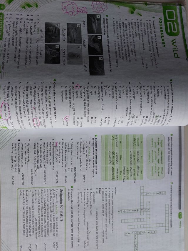 GOLD EXPERIENCE B2 WORKBOOK WITHOUT KEY