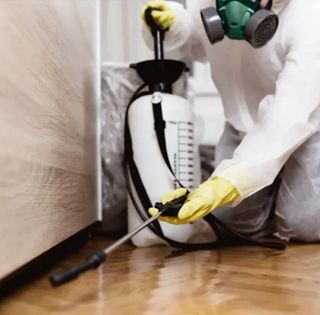 Fumigación de plagas