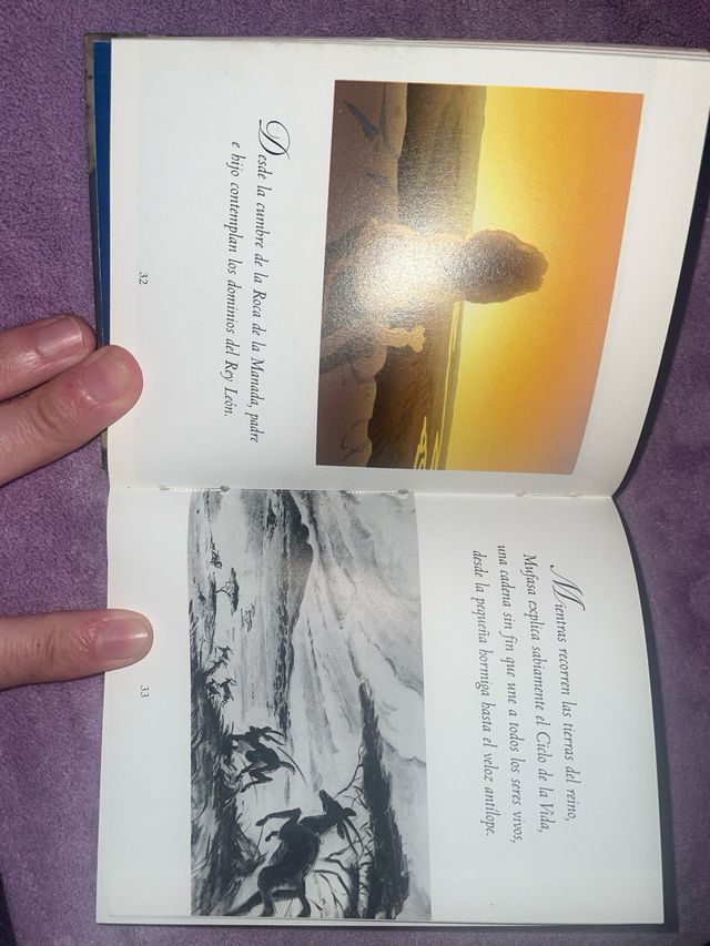 El arte del rey leon