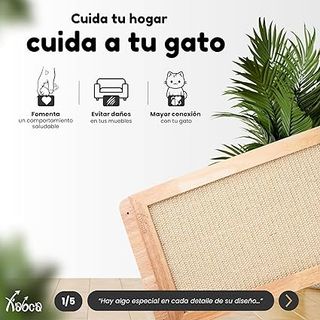 Xabca Rascador para Gatos