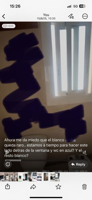 pintor profesional arreglos en general Reformas