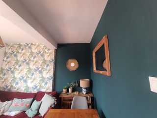 pintor profesional arreglos en general Reformas